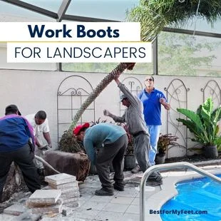 a team of landscapers working on planting a new tree in a garden. They all wear work boots that are good for landscaping work